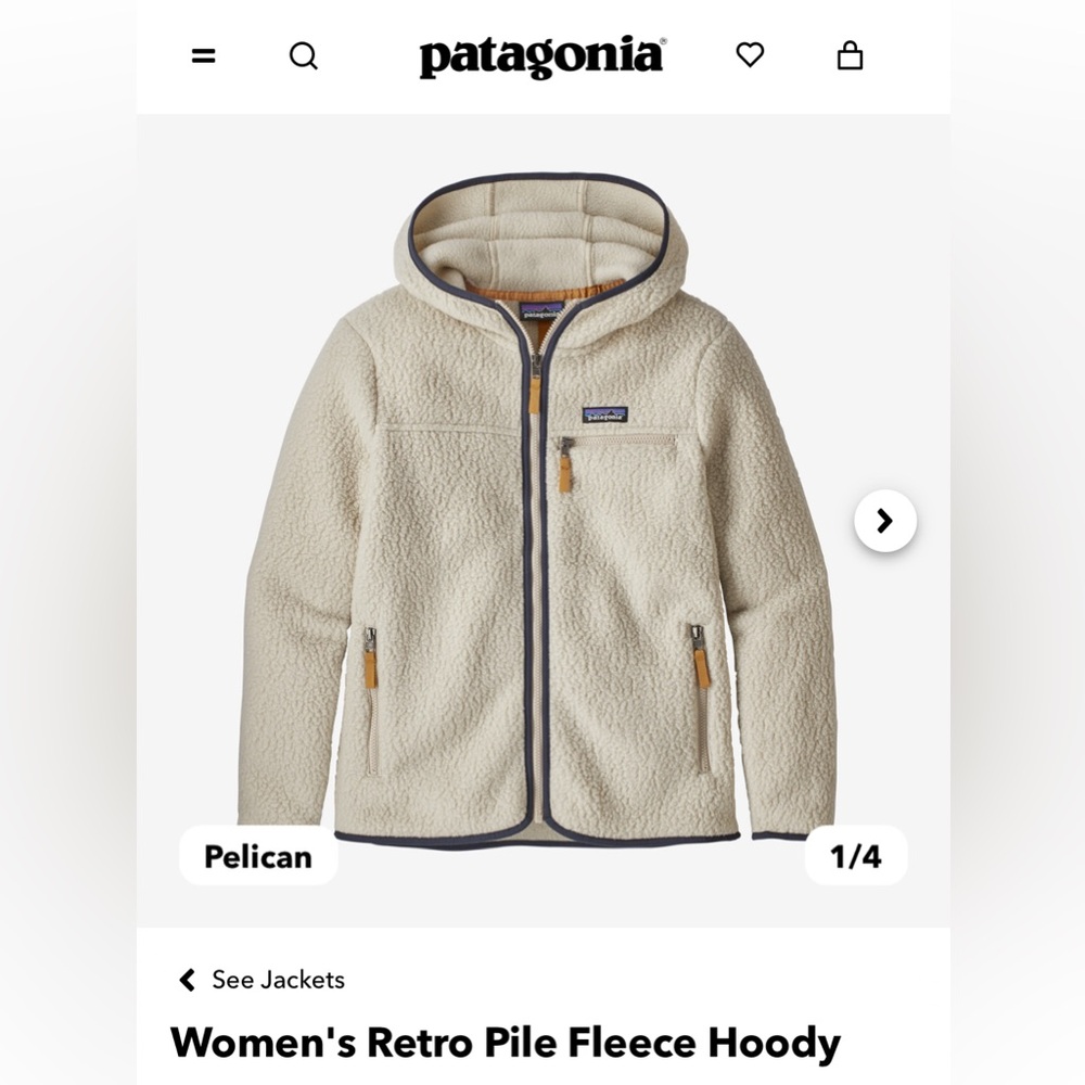Patagonia Women’s Retro Pile Fleece Hoodie
